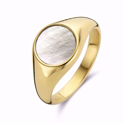 CO88 IP guld stål ring med perlemor