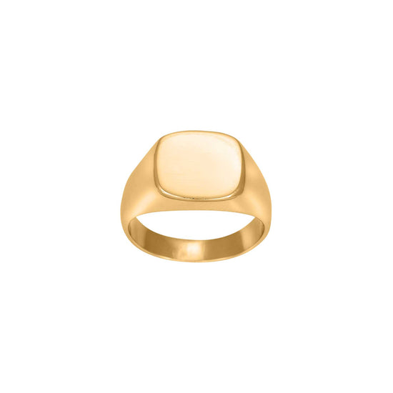 SON stål ring plade IP gold