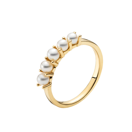 8K Ring m. FVP 5x2,5-3,5mm Lund
