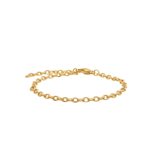 SON armbånd stål IP gold, anker facet 16+3cm