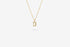 IX Studios - D Letter Charm Forgyldt IX Studios